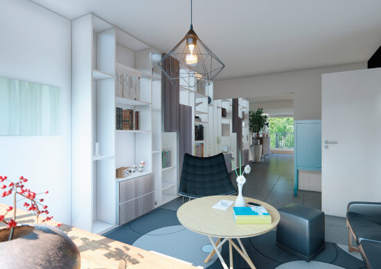 Visuels 3D 